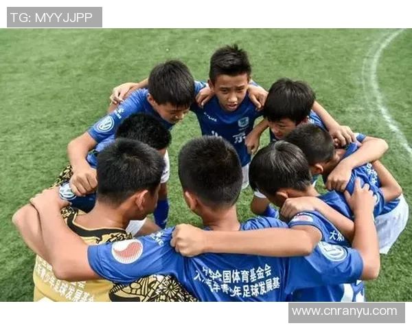 南京足球队现状揭秘:从训练到比赛的全景分析与展望