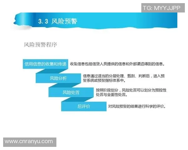 武汉足球队在全国锦标赛中的技术表现分析与点评